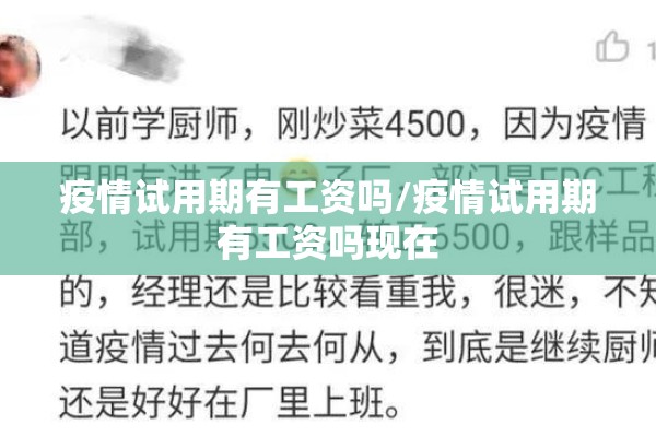 疫情试用期有工资吗/疫情试用期有工资吗现在 疫情试用期有工资吗/疫情试用期有工资吗现在