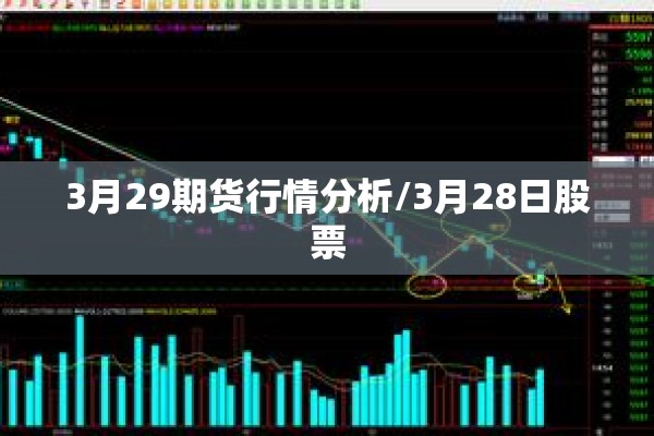 【楚雄市疫情/楚雄市疫情期间物业收费标准】