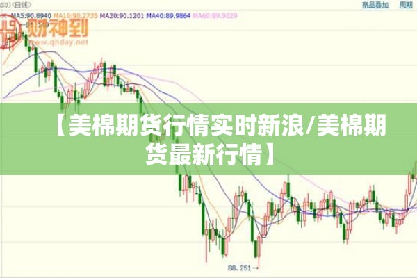 疫情防控阵地/疫病防控安排工作