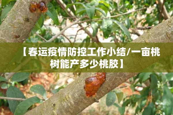 包含疫情分享的词条