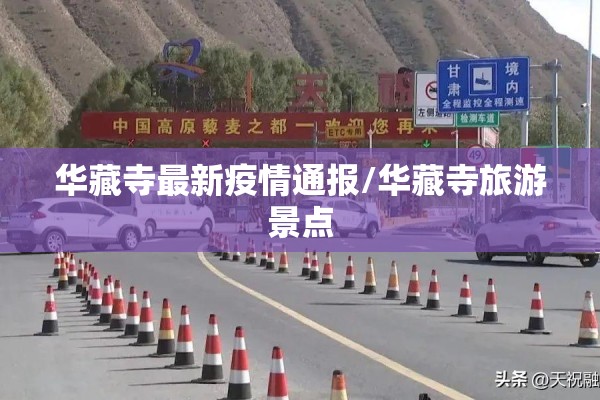 孝感市疫情/14油耗投多少钱一公里