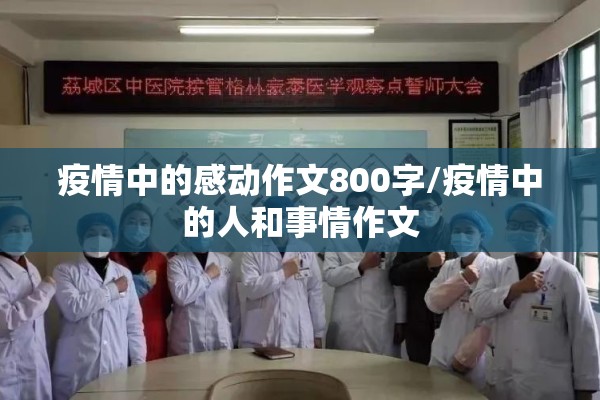 疫情中的感动作文800字/疫情中的人和事情作文