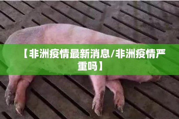 满洲里疫情电话录音:满洲里疫情一共封城了几次