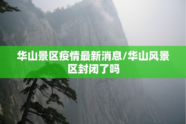 期货里多档行情怎么看/期货里多档行情怎么看的