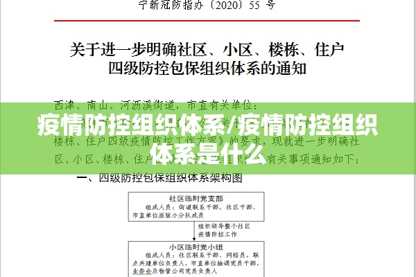 疫情防控组织体系/疫情防控组织体系是什么 疫情防控组织体系/疫情防控组织体系是什么