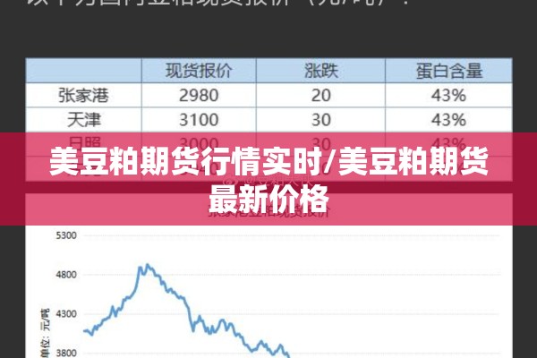 疫情下的思考/疫情带来的生命启示