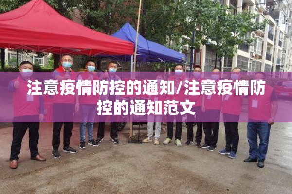【疫情防控总结报告/疫情防控汇报】