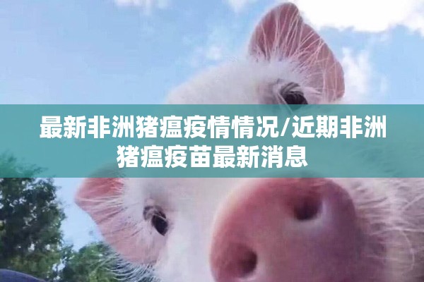 马来西亚棕榈油期货实时行情/马来西亚棕榈油期货实时报价