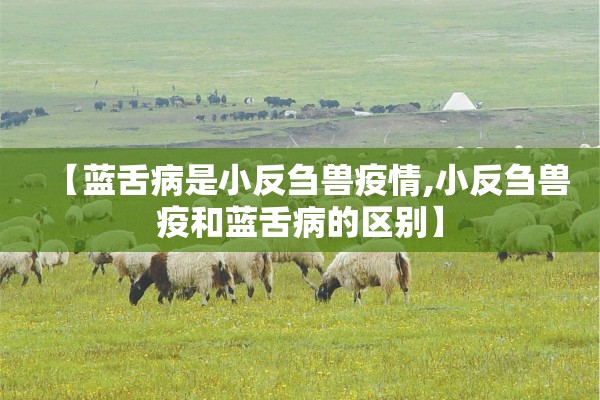 大理疫情最新消息/大理最新消息刚刚