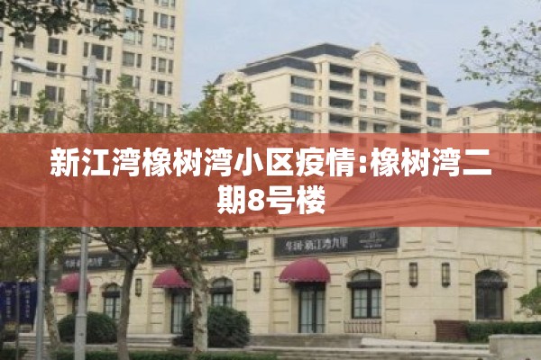 锌合金期货价格最新行情（锌合金期货价格最新行情查询）