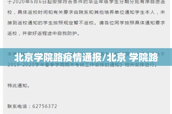 东京期货橡胶实时行情/东京期货橡胶实时行情分析