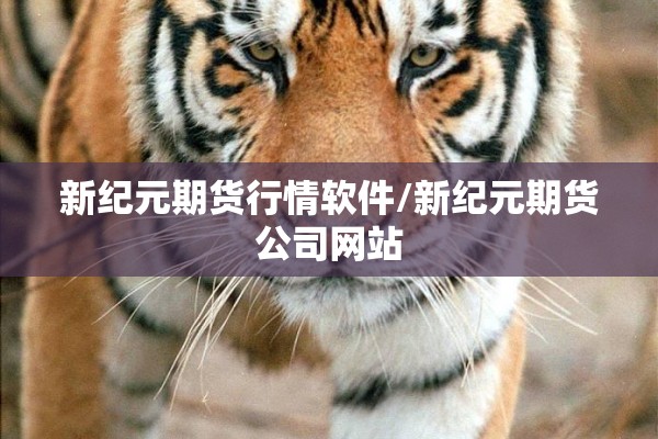 【芬兰疫情严重吗,芬兰国情】