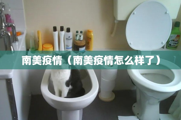 南美疫情(南美疫情怎么样了) 南美疫情(南美疫情怎么样了)