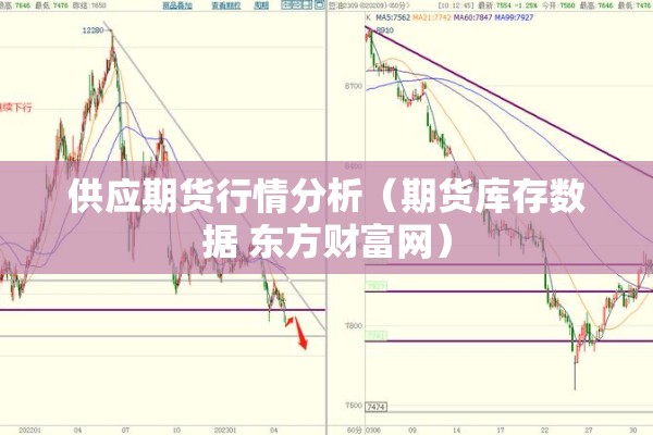 疫情再次爆发/梦到疫情再次爆发