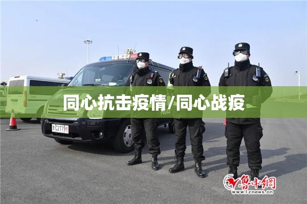 【疫情防控落实情况报告,疫情防控工作】