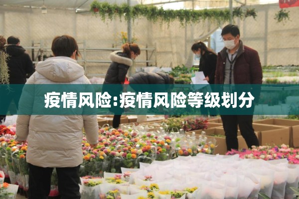 疫情风险:疫情风险等级划分 疫情风险:疫情风险等级划分