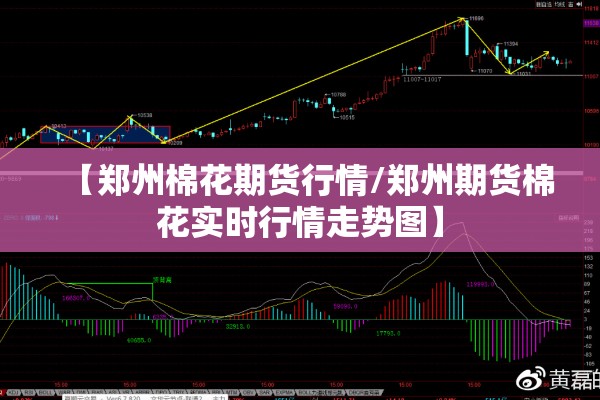 棕榈期货行情:棕榈期货今年涨了多少