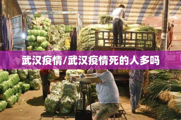 武汉疫情/武汉疫情死的人多吗 武汉疫情/武汉疫情死的人多吗
