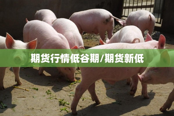 期货行情低谷期/期货新低