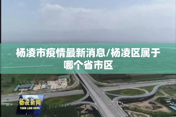 【疫情期间的街道,疫情期间的街道怎么描写】