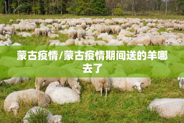 开原疫情确诊名单/开原15天视频实况