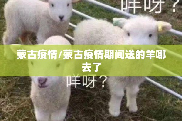 蒙古疫情/蒙古疫情期间送的羊哪去了