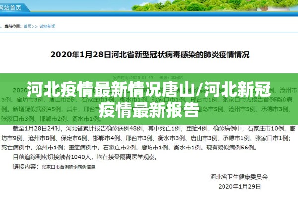 石家庄疫情源头及轨迹/石家庄 病例