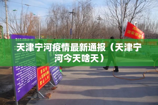 天津宁河疫情最新通报（天津宁河今天啥天）