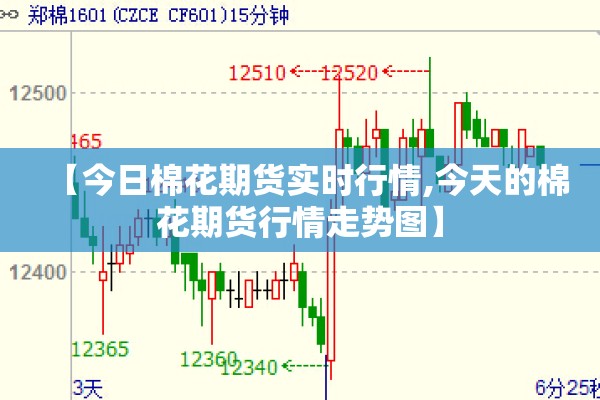 钢材期货实时行情今天:钢材期货实时行情今天价格