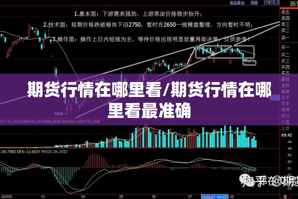 新年疫情:新冠疫情爆发周年