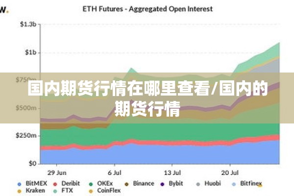 国内期货行情在哪里查看/国内的期货行情