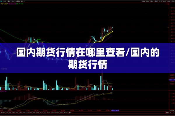 美国航空公司疫情:美国航空公司最新动态