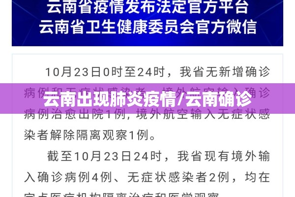 云南出现肺炎疫情/云南确诊 云南出现肺炎疫情/云南确诊