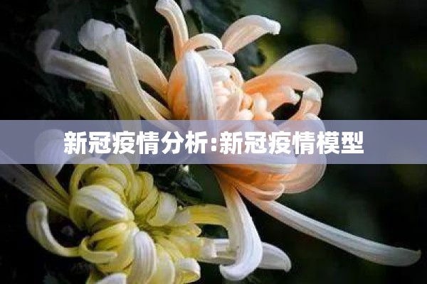 新冠疫情分析:新冠疫情模型 新冠疫情分析:新冠疫情模型
