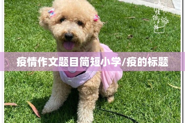 【菜籽粕期货价格行情/菜籽粕最新行情资讯】