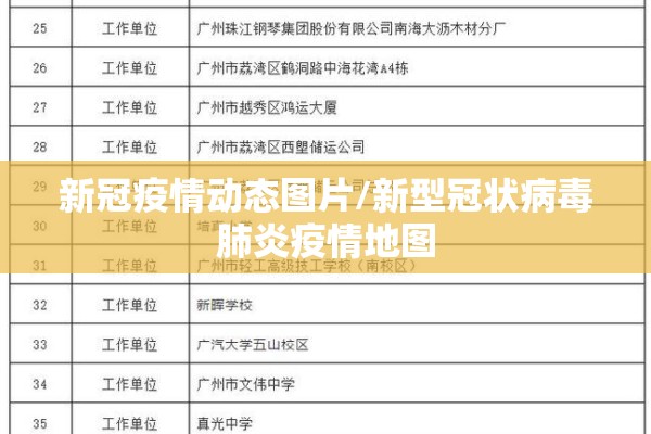 疫情关注度问卷/疫情关注度问卷分析