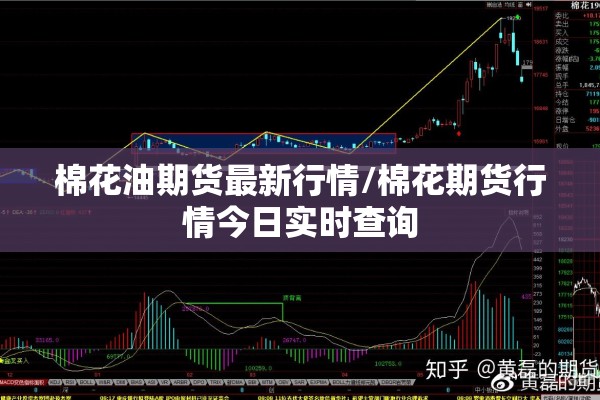 【疫情之下的,疫情之下的村庄守门人】