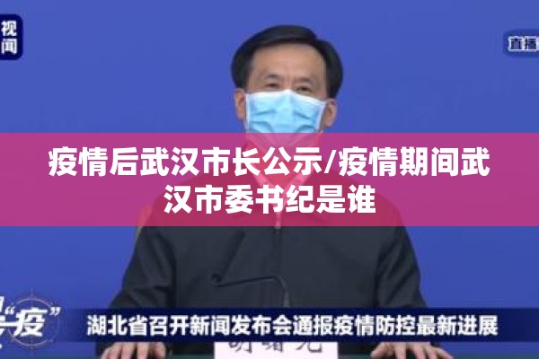 疫情后武汉市长公示/疫情期间武汉市委书纪是谁