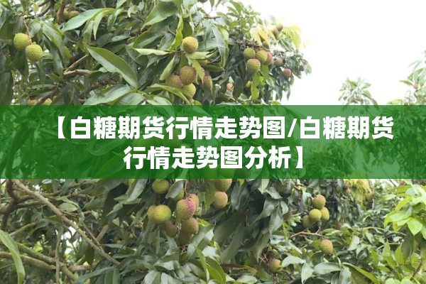 2112苹果期货行情:苹果期货走势分析