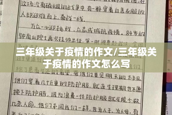 东海期货行情:东海期货行情查询