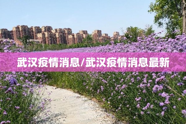 武汉疫情消息/武汉疫情消息最新 武汉疫情消息/武汉疫情消息最新