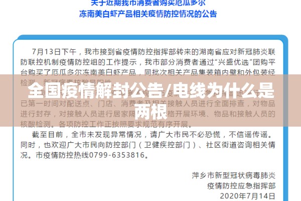 全国疫情解封公告/电线为什么是两根 全国疫情解封公告/电线为什么是两根