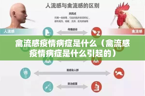 红河疫情最新消息/红河新闻最新动态
