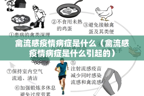 禽流感疫情病症是什么（禽流感疫情病症是什么引起的）