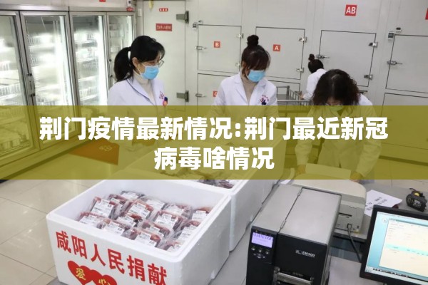 【绥化疫情最新消息视频,绥化疫情最新消息视频会议】