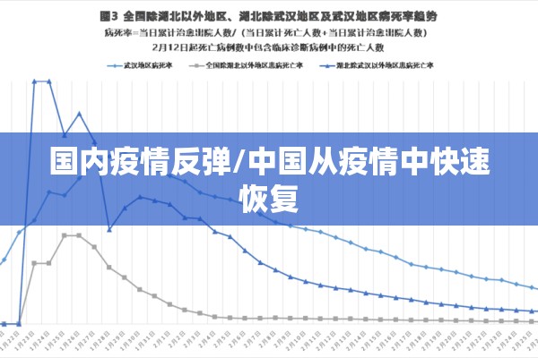 国内疫情反弹/中国从疫情中快速恢复 国内疫情反弹/中国从疫情中快速恢复