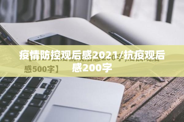 国内疫情反弹/中国从疫情中快速恢复