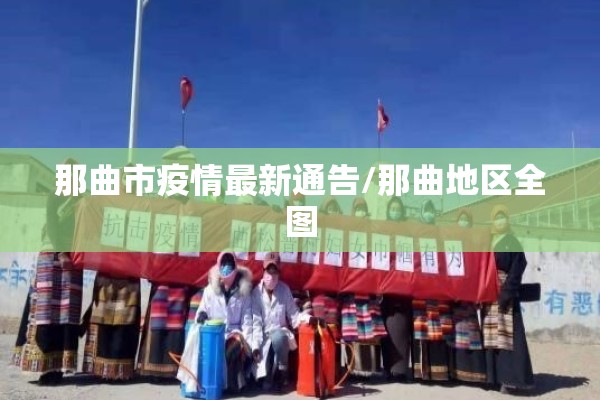 新冠疫情发展:新冠疫情发展历程