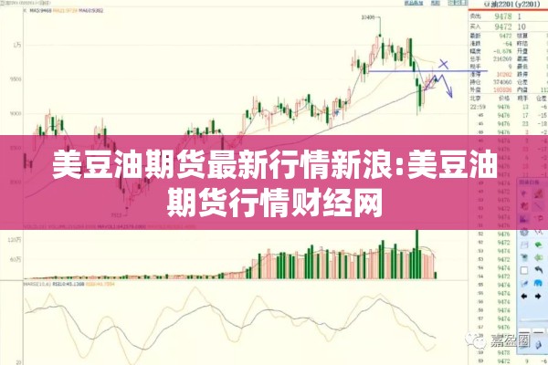 美豆油期货最新行情新浪:美豆油期货行情财经网 美豆油期货最新行情新浪:美豆油期货行情财经网