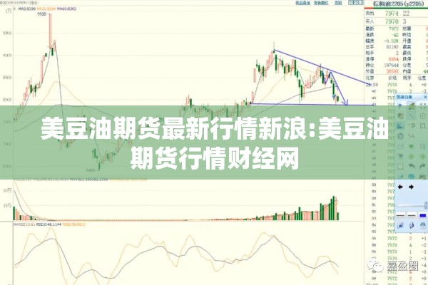 美豆油期货最新行情新浪:美豆油期货行情财经网 美豆油期货最新行情新浪:美豆油期货行情财经网